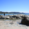 Coronation Reserve