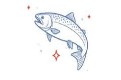 MAHIA BOATING AND FISHING CLUB - SPEARFISHING COMPETITION