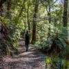 Lake Waikareiti Track