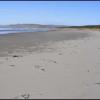 Mahanga Beach