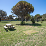 Mahia Beach Holiday Park