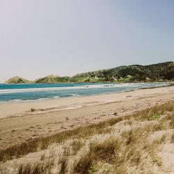 Opoutama Beach