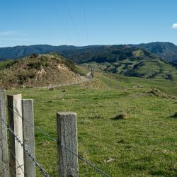 Putere Road Raupunga 3