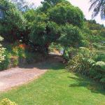 The Tuai Suite