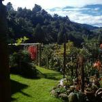 The Tuai Suite