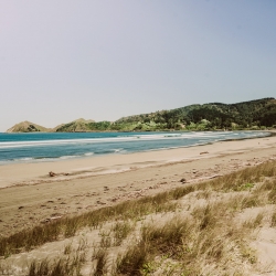 Opoutama Beach