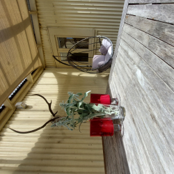 Outside Living