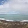 Blacks Beach