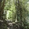 Mahia Scenic Reserve