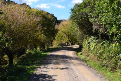 SCENIC DRIVES