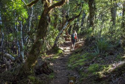 LAKE WAIKAREMOANA GREAT WALK