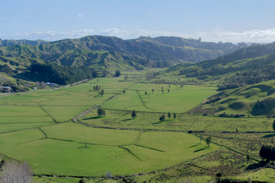 MANGAONE CAVES TRACK