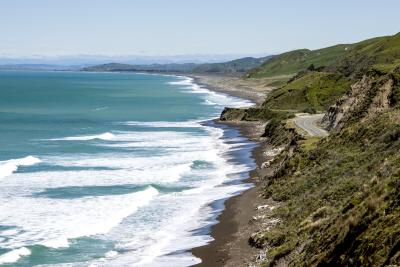 BLACK'S BEACH