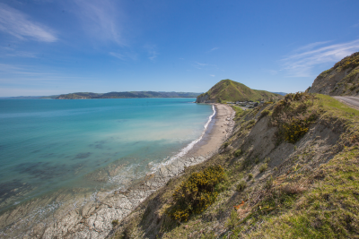 TAYLOR'S BAY