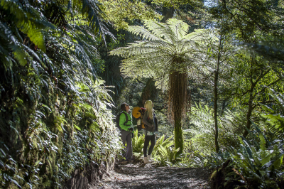 LAKE WAIKAREITI TRACK