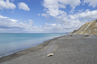 WHAKAMAHIA BEACH