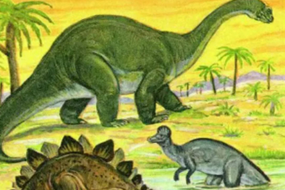 DINOSAUR FLOOR TALK