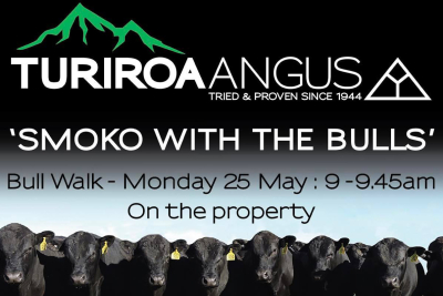 SMOKO WITH THE BULLS