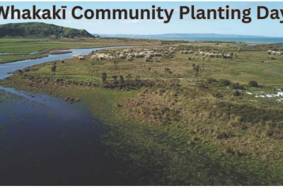 WHAKAKi COMMUNITY PLANTING DAY